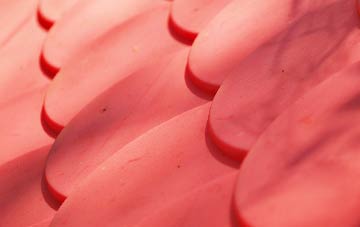 Monea plastic roof costs